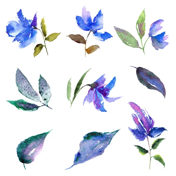 Çizim dekorasyon için bırakır. Sulu boya renkli yaprakları. Dalları sonbahar yaprakları.