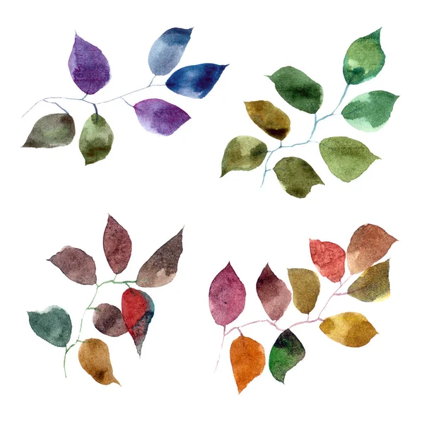 Blätter Zur Dekoration Zeichnen Aquarell Bunte Blätter Herbstblätter Zweige — Stockfoto