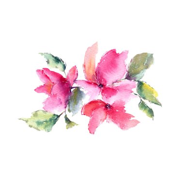 Beyaz arka plan üzerinde renkli soyut çiçek