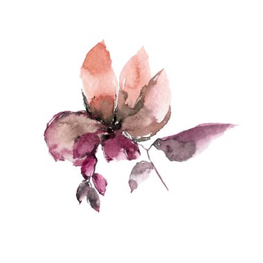 Beyaz arka plan üzerinde renkli soyut çiçek