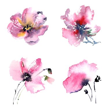 Çiçekler ayarlayın. Dekor için suluboya renkli çiçekler. Çiçek tasarım dört çiçek ayarla. Kırmızı, mavi, yeşil, Mor çiçek.