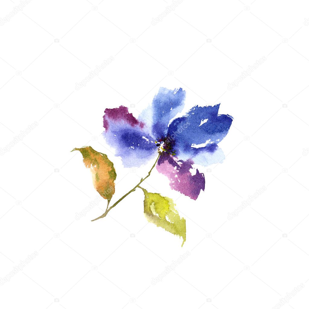 Blue flower. Sakura flower. Floral gretting card. Watercolor flower. Floral decor element. 