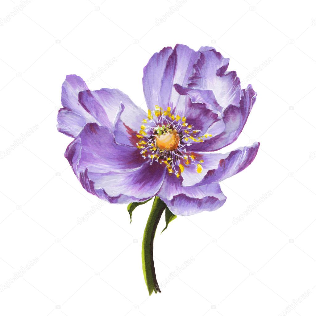 Violet single flower. Watercolor colorful flower for decor. Floral design.