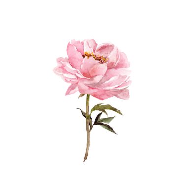 Mor vintage çiçek. Çiçek tebrik kartı. Düğün davetiyesi çiçek tasarım. Rose