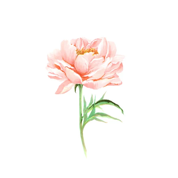 자주색 빈티지 꽃입니다 인사말 카드입니다 결혼식 디자인입니다 — 스톡 사진