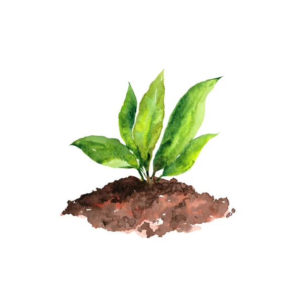 Jarní Zelené Listy Příroda Ilustrace Výhonek — Stock fotografie
