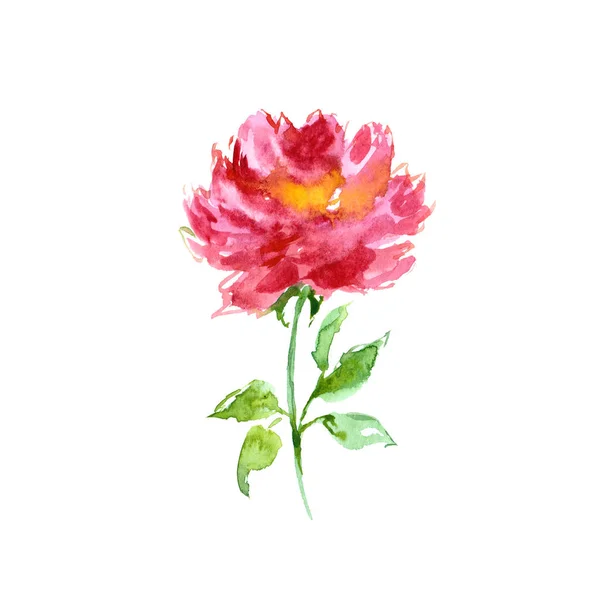 Роуз Весняна Квітка Квіткова Листівка — стокове фото