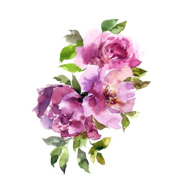 Floral background. Watercolor flowers. Floral wedding design. Greeting card with pink roses. clipart