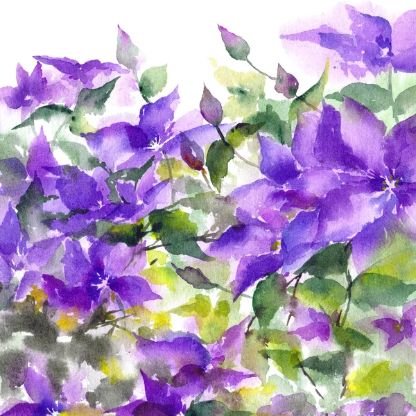 Floral background. Watercolor purple flowers. Floral greeting card. Clematis flowers.
