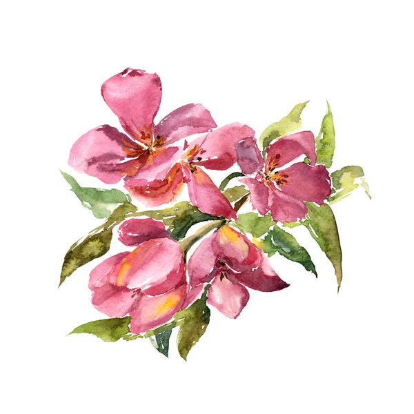 Рожеві Тюльпани Акварель Квіти Квіткові Вітальну Листівку Весілля Запрошення Дизайн — стокове фото