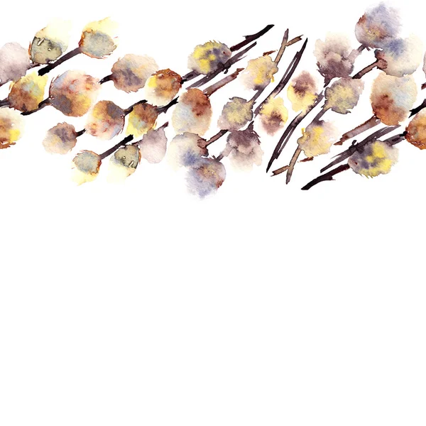 Pussy Willow Easter Postcard Watercolor Drawing Branch Pussy Willow — Stock Photo, Image