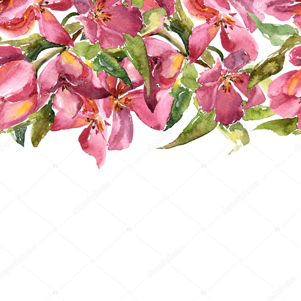 Pink tulips. Watercolor flowers. Floral greeting card. Wedding invitation design. Sakura blossom.