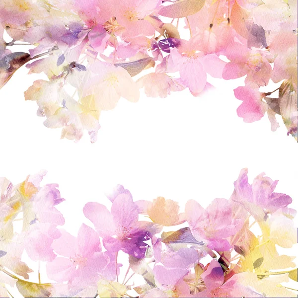 Inschrijving Floral Frame Met Roze Kleuren Kopiëren Van Ruimte Watecolor — Stockfoto