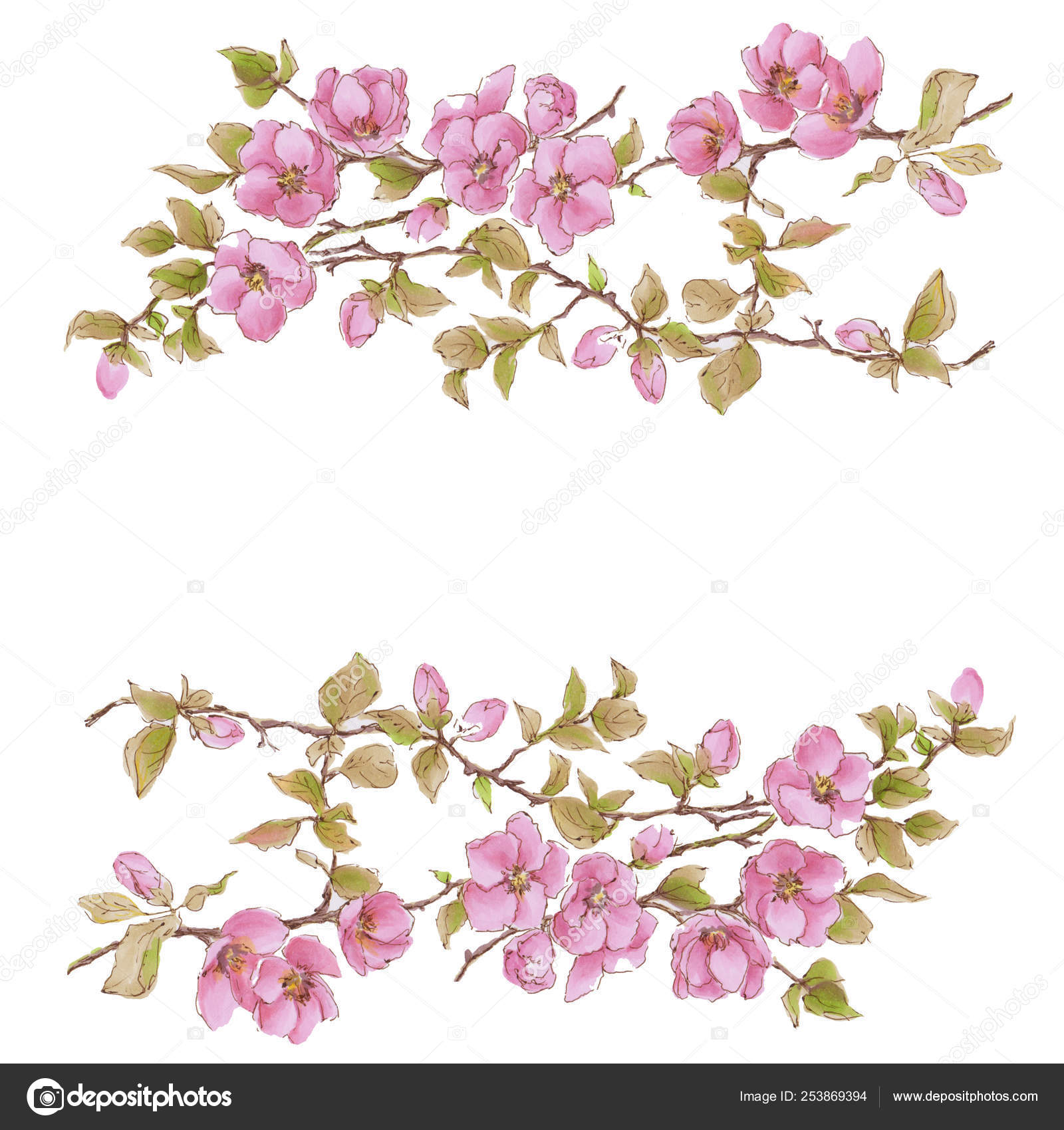 Moldura Floral Cartao Saudacao Floral Com Sakura Rosa Sakura Flor Fotografias De Stock C Oaurea 253869394