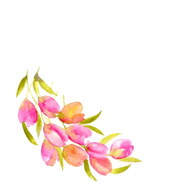 Tulipany Akwarela Bukiet Różowy Wiosna Kwiaty Flral Dekoracyjne Obramowania — Zdjęcie stockowe