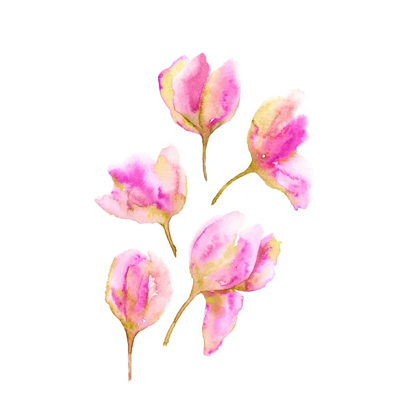 Tulips Bouquet Delicate Pink Tulips Flowers Set Decor Watercolor Drawing — Stock Photo, Image