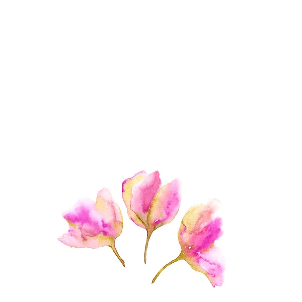 Tulips Bouquet Delicate Pink Tulips Flowers Set Decor Watercolor Drawing — Stock Photo, Image