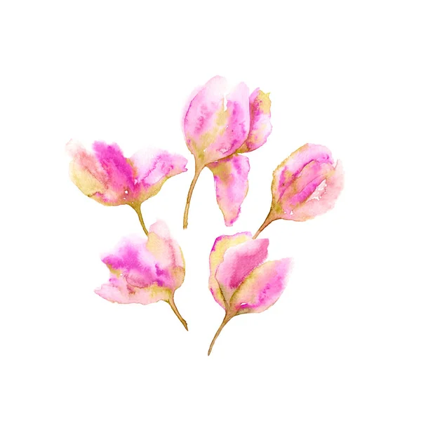 Μπουκέτο Τουλίπες Λεπτές Ροζ Τουλίπες Λουλούδια Έτοιμα Για Διακόσμηση Ακουαρέλα — Φωτογραφία Αρχείου