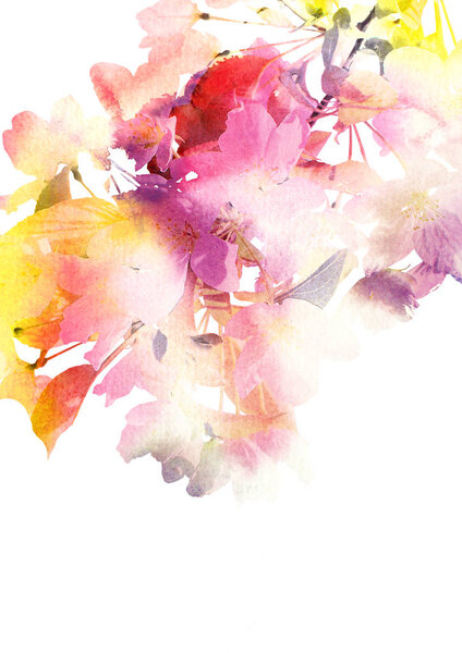 Floral decor. Watecolor flowers. Wedding invitation floral design. Greeting card with delicate flowers. Floral birthday card. Vintage floral background.