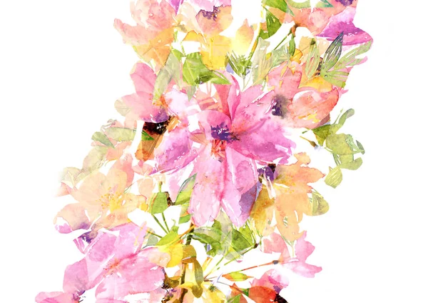 Çiçek Dekoru Watecolor Çiçekleri Düğün Davetiyesi Çiçek Tasarımı Narin Çiçeklerle — Stok fotoğraf