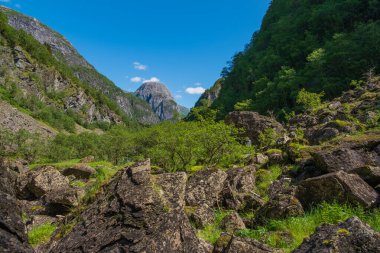 Naeroydalen Vadisi ve Stalheim Tepeleri, Voss Norveç 'in güzel manzarası. Temmuz 2019