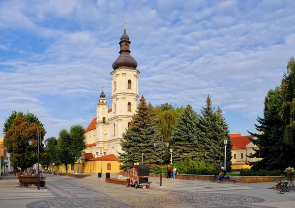 Iglesia Católica de la Asunción de la Santísima Virgen María. Pinsk. Belarús —  Fotos de Stock