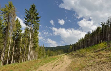 Zakhar Berkut mountain in springtime, Carpathian mountain, Ukraine