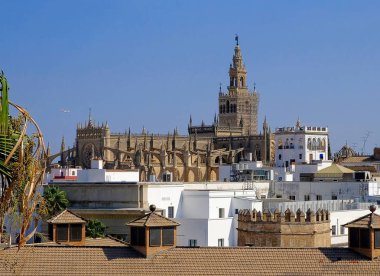 Seville Katedrali Santa Maria de la Sede Sevilla manzaralı Altın Torre del Oro Kulesi, Endülüs, İspanya.