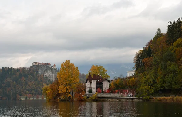 Colorido Bled no outono, com o castelo no topo da rocha no fundo. Eslovénia — Fotografia de Stock