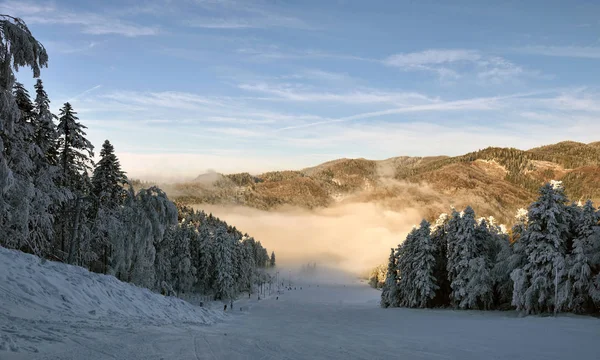 Zimowy las w dolinie w zaśnieżonych górach Słowacji, Drienica — Zdjęcie stockowe