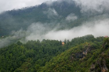Karadağ 'ın Durmitor Milli Parkı' ndaki dağ vadisi, orman ve Tara nehri kanyonu