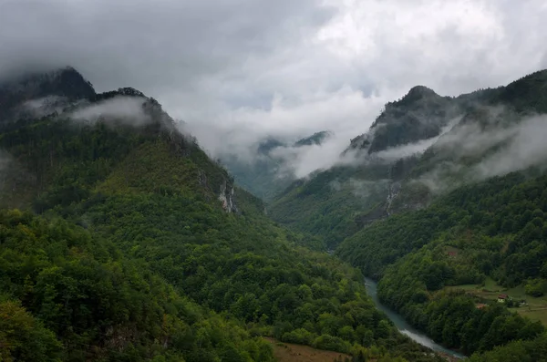 Valle de la montaña, bosque, cañón del río Tara en el Parque Nacional de Durmitor, Montenegro — Foto de Stock