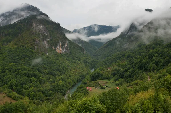 Gebirgstal, Wald, Tara-Flußschlucht im Durmitor-Nationalpark, Montenegro — Stockfoto