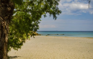 Mavi deniz ve kumsal. Arka plan bulanık. Seyahat ve tatil