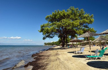 Pachis Sahili, Thassos Adası, Yunanistan. Eylül 'de güneşli güzel bir gün..