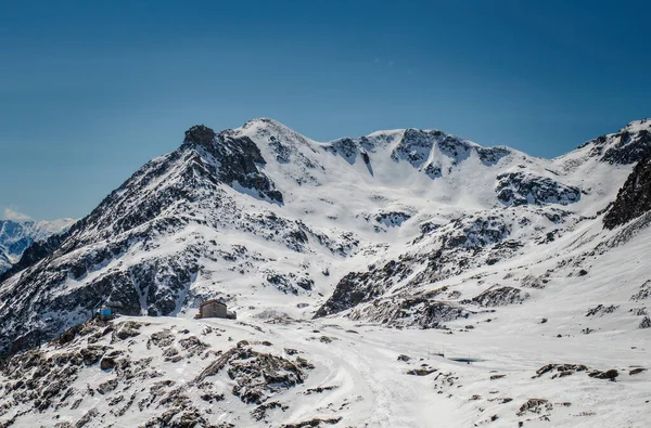 Paysage Alpin Printanier Glacier Molltal — Photo