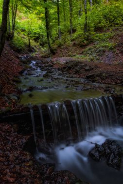 Ukrayna 'daki Shypit şelalesinden nehir manzarası çok güzel. Mayıs 2020, uzun pozlama resmi