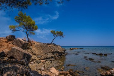 Akdeniz Körfezi yakınlarındaki antik Faselis kenti. Hindi. Ağustos 2020