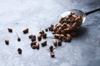 mavi dokulu antika arka plan üzerinde meşe palamutları