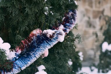 Yeni yıl yeni yıl güzellik ağaç sembolüdür