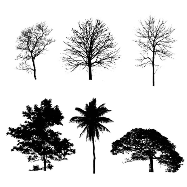 Svart Silhuett Träd Vektor Bunt Uppsättning — Stock vektor