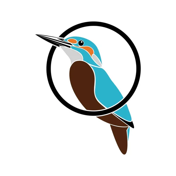 Kingfisher Pájaro Colorido Logotipo Ilustración — Vector de stock