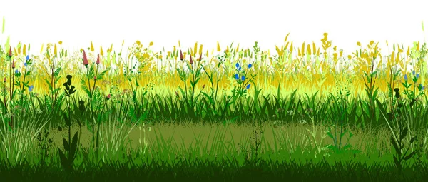 Meadow with flowers. Sunny mood. Blooming forbs. Grass landscape. Isolated vector on white background. Horizontal view. Spring Summer Meadowland. Sun Grassland. Plants, Herbs. Bright beautiful scenery