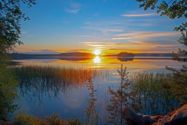 Ormanın gölünde ılık yaz günbatımı