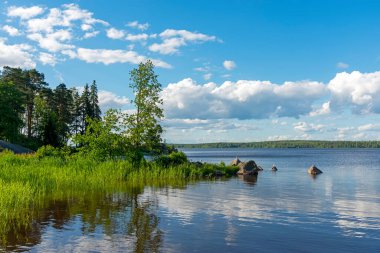 Gölün kayalık kıyısı, otlarla kaplanmış.
