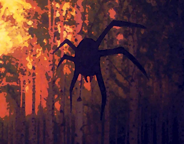 A aranha paira na floresta da noite — Fotografia de Stock