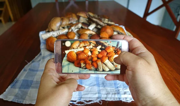 Houba sběr v této sezóně v lese — Stock fotografie