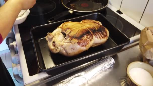 Fırında turuncu ördek hazırlama videosu — Stok video