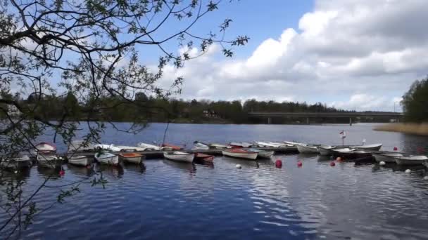 Les Petits Bateaux Amarrés Lac Matin Par Beau Temps Arrière — Video