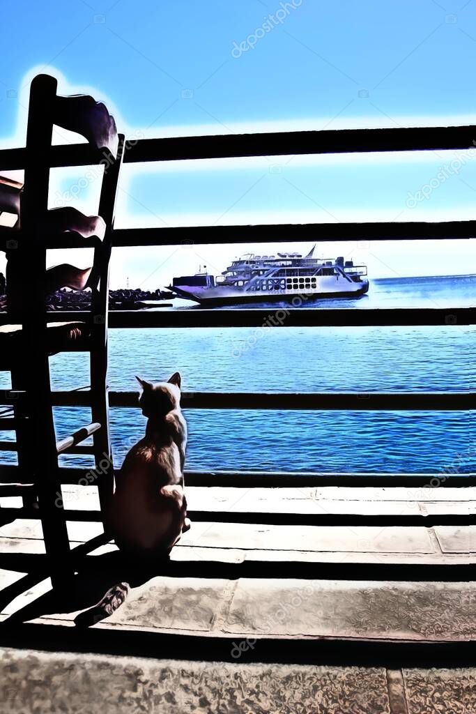 Digital oil colors style which represents a grey cat that observes the port and the ferry from the terrace of the house